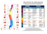 do scientific illustrations, diagrams and figures