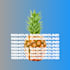 remove backgroun for online shop