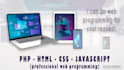 do professional web programming