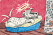 draw a cartoon portrait of your pet