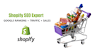 provide shopify seo service to increase sales growth