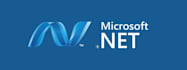 professional developer for dotnet and sql server application