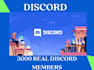 do nft discord server promotion, discord promotion, nft discord server