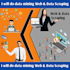 do data scraping, data entry, web scraping