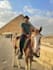 help you with anything related to egypt