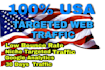 drive organic USA targeted web traffic to increase active visitors