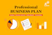 write a professional business plan for investor and startup business plan writer