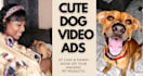 create dog ugc video ads for your pet product or service