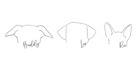 draw your pets ear outline