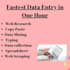 do fastest data entry, web research and copy paste work