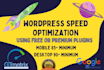 do website speed optimization with gtmetrix and wp rocket increase page speed