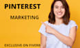be your pinterest marketing manager and grow your account