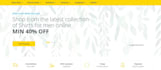 make a beautiful website with domain