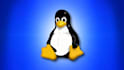 fix linux flavours ubuntu, centos, kali, mint issues