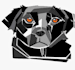 create the best poster and illustration