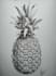 create awesome botanical  illustrations