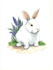 create awesome animals illustrations