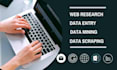do accurate excel data entry, web research, and data collection
