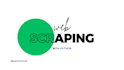 do web scraping, web crawling from any website using python