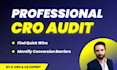 do a cro audit of your website to increase conversion