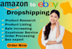 do amazon to ebay dropshipping