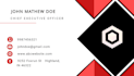 design a professional visa card