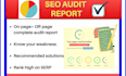 provide SEO site audit report for wordpress