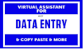 do data entry data anaysis