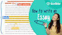 write summary and article on any topic in 1 day