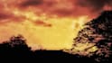 give you beautiful  nature photos