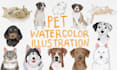 draw a simple watercolor portrait of your pet