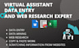 do excel data entry, web research data entry, copy paste work