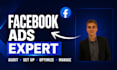 audit, set up and manage your facebook ads campaigns