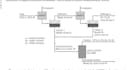 do your chemical engineering processes tasks