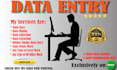 do data entry typing work of all type