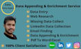 do data enrichment, data entry, and b2b lead generation