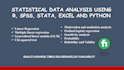 do all stastistical analysis with r,stata,python,spss