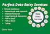 do fastest data entry in one day and internet reserch