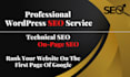 do your complete wordpress SEO service