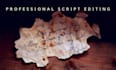 professionally edit and proofread your script