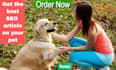 write SEO articles and blogs on your pet