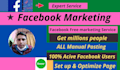 set up facebook page, ads, groups marketing, post design, and branding promote