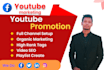 do youtube SEO to improve your video ranking