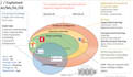 offer microsoft powerpoint presentations and google slides