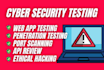 do web application security testing
