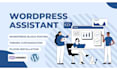 be your wordpress virtual assistant, wordpress data entry VA