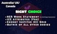 write work statement for ner ea ice and ei etc