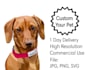 draw your pet into vector illustration