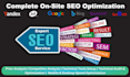 do complete SEO on page optimization on multiple cms platforms