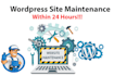 update php version and provide wordpress maintenance